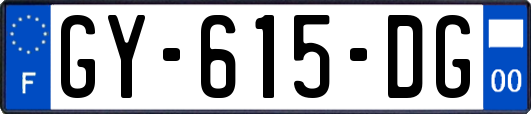 GY-615-DG