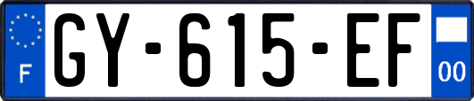 GY-615-EF