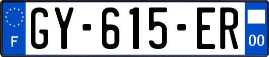 GY-615-ER