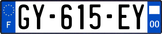 GY-615-EY