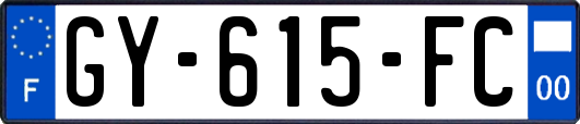 GY-615-FC