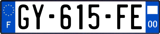 GY-615-FE
