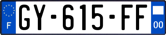 GY-615-FF