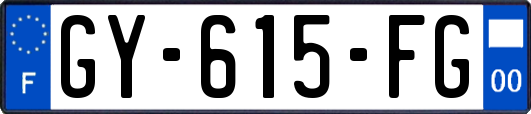GY-615-FG