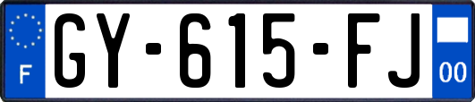 GY-615-FJ