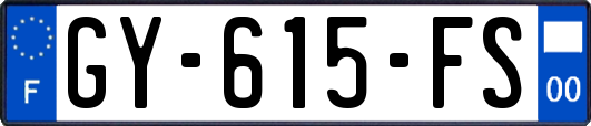 GY-615-FS