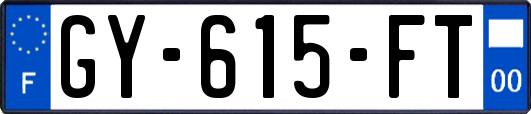 GY-615-FT
