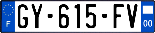 GY-615-FV