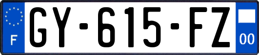 GY-615-FZ
