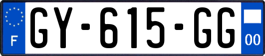 GY-615-GG
