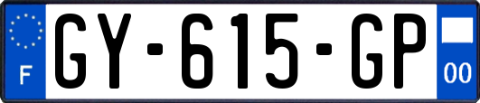 GY-615-GP