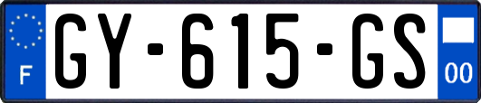 GY-615-GS