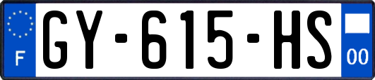 GY-615-HS