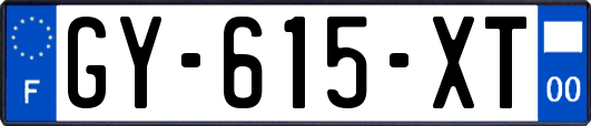 GY-615-XT