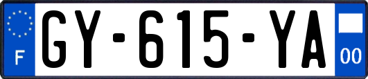 GY-615-YA