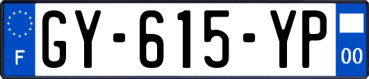GY-615-YP