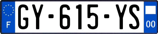 GY-615-YS