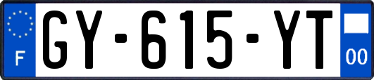 GY-615-YT