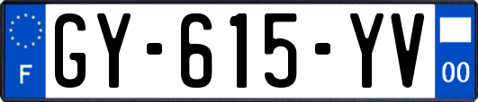 GY-615-YV