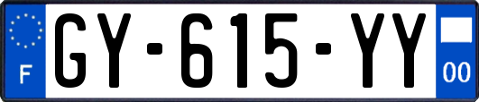 GY-615-YY