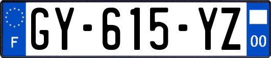 GY-615-YZ