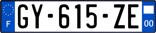 GY-615-ZE