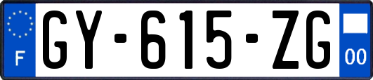 GY-615-ZG