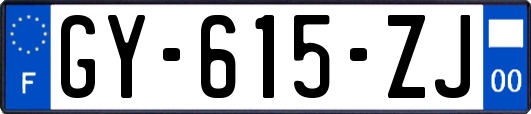 GY-615-ZJ