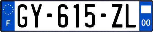 GY-615-ZL