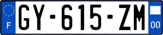 GY-615-ZM
