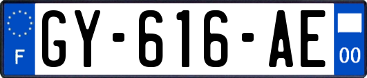 GY-616-AE