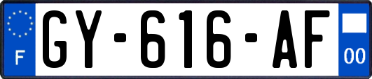 GY-616-AF