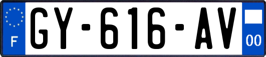 GY-616-AV