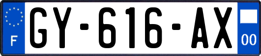 GY-616-AX