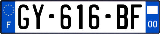 GY-616-BF