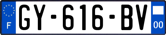 GY-616-BV