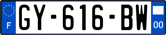 GY-616-BW