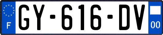 GY-616-DV