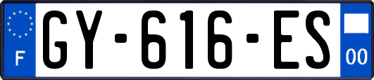 GY-616-ES