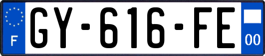 GY-616-FE