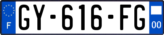 GY-616-FG