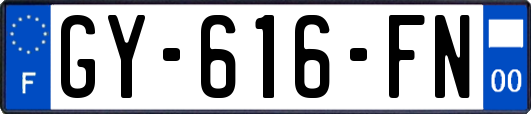 GY-616-FN