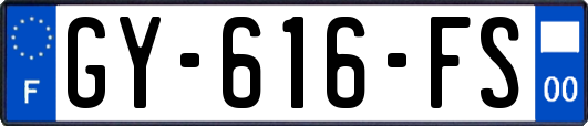 GY-616-FS