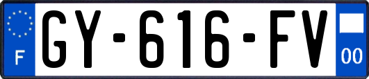 GY-616-FV