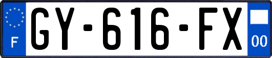 GY-616-FX