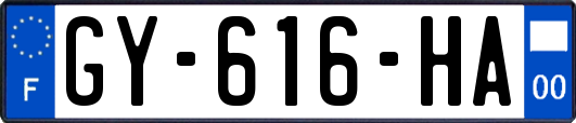 GY-616-HA