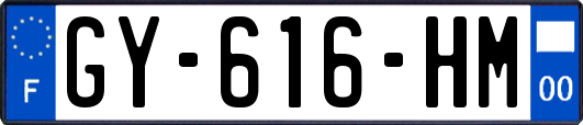 GY-616-HM