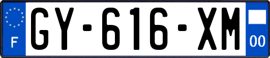 GY-616-XM