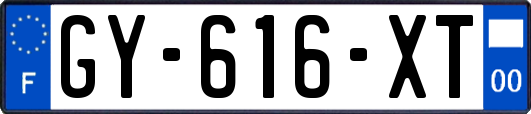 GY-616-XT