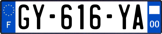 GY-616-YA